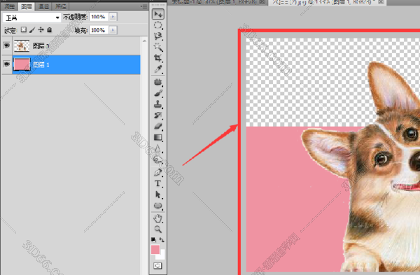 求解,ps怎么拖动图片的位置?