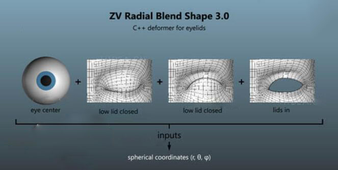 Maya面部动画混合形状插件：ZV Radial Blend Shape v3.0.1