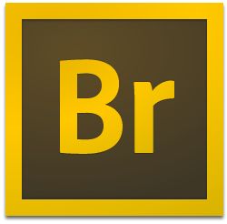 Adobe Bridge CC2021 Mac【Br】中文版