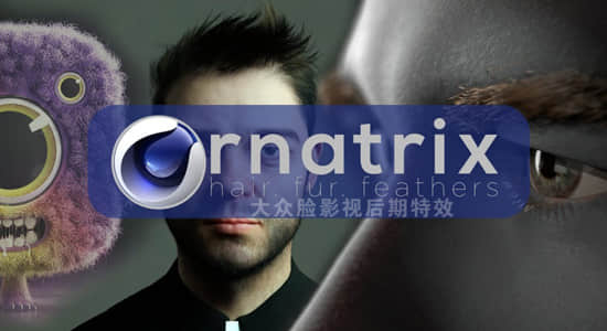 C4D头发毛发羽毛模拟插件：Ornatrix v2 2.0.10.26200 破解版免费下载