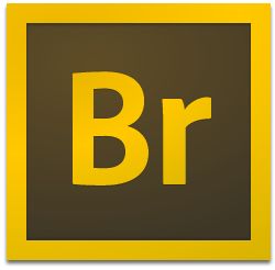 Adobe Bridge CC2021【Br 创意资源管理器】免激活直装版下载