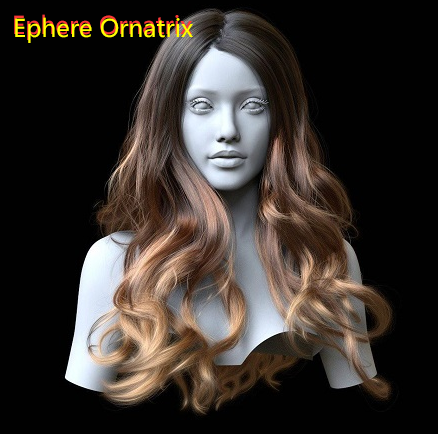 Ephere Ornatrix 8.1.4 for 3ds Max 2020-2025中文免费破解版