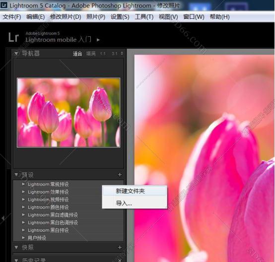 Adobe Photoshop Lightroom如何导入和安装预设？