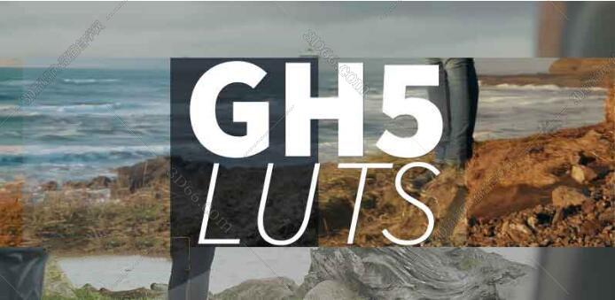 PS/AE/FCPX/达芬奇LUTs调色预设Neumann Films Gh5 Luts