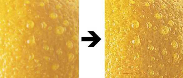 Adobe Photoshop图像锐化滤镜插件FocalBlade V2.02 Adobe Photoshop图像锐化滤镜插件FocalBlade V2.02