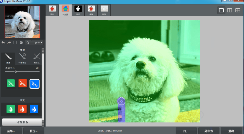 Topaz Remask 5中文破解版