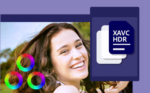 Adobe premiere【PR】2022中文破解版