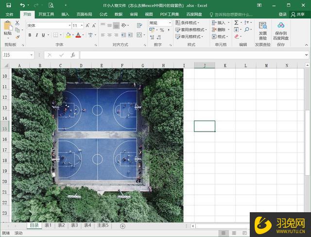 Excel如何去掉图片的背景色？Excel去掉图片背景色的方法-羽兔网资讯