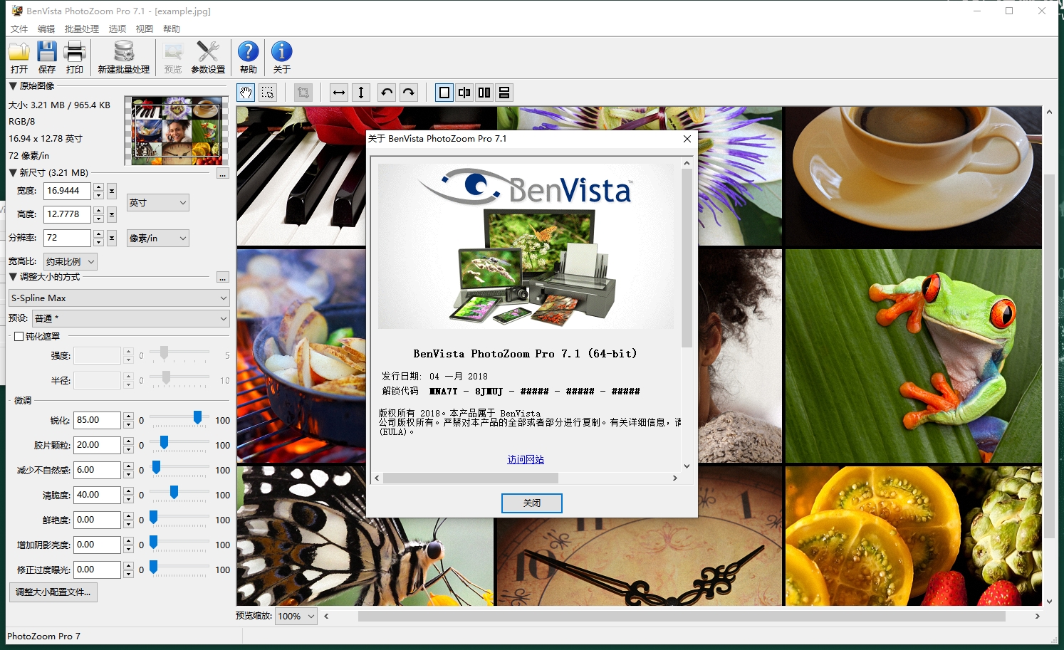 Benvista PhotoZoom Pro v7.1 中文破解版 Benvista PhotoZoom Pro v7.1 中文破解版