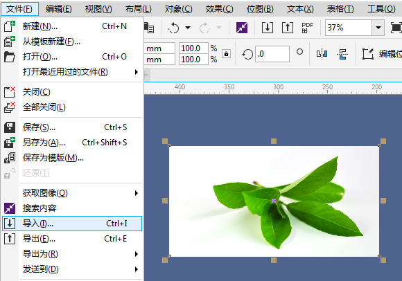 怎么用cdr给位图添加边框cdr给位图添加边框的教程