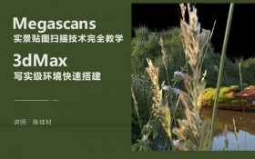 Megascans实景贴图扫描技术完全教学+3DMax写实级环境快速搭建