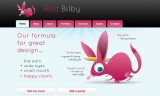 怎么进行网页设计？网页设计10个技巧分享-羽兔网资讯